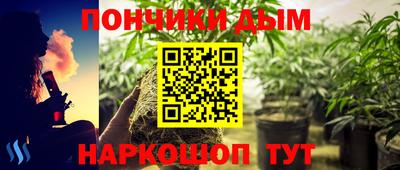крисы Кинель